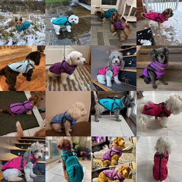 Зимовий теплий куртка для собак та котів, водонепроникний, зелений (L, світло-зелений)