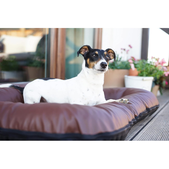 Ліжко для собак середніх порід 4L Textil Ella з штучної шкіри, водонепроникний матрац (90x70 см, коричневий)