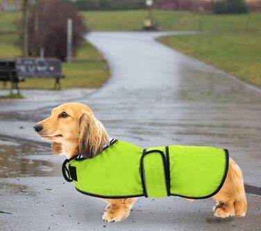 Дощовик для собак Geyecete, регульований, водовідштовхувальний, для такс, з світловідбиваючими ремінцями, з реміннем на липучці, розмір M (довжина спини 42-45 см), зелений