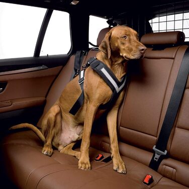 Пояс безпеки для собак KLEINMETALL Allafe (XL)