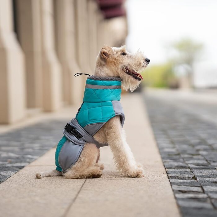 Тепла водонепроникна жилетка для собак з коміром, м'яка та зручна, зелена, розмір M