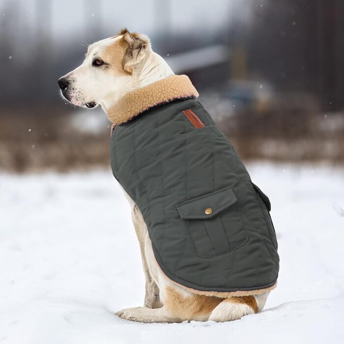 Зимовий теплий одяг для собак Citétoile: куртка з флісу для чихуахуа, такси та інших порід, сірий колір, розмір XS