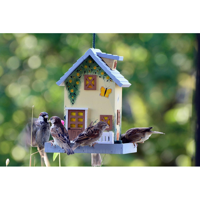 Будиночок для птахів Dobar® 25119FSC Summer - яскравий дерев'яний годівничок для птахів, 18x18x23 см