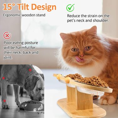 Підвищений годівниця для котів Katzennapf з 3 мисками з нержавіючої сталі, регульована висота, дерев'яний підставник, ергономічна станція для годування, миска для води для котів та маленьких собак