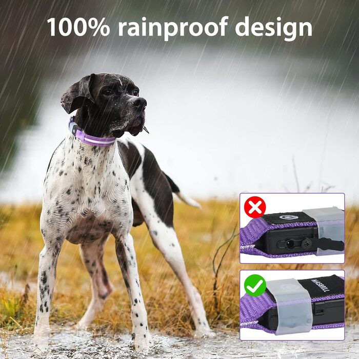 Світловідбиваючий нашийник для собак Masbrill з LED підсвічуванням, водонепроникний, 3 режими освітлення, фіолетовий