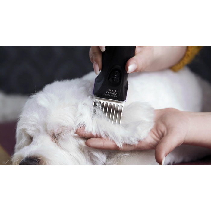 Машинка для стрижки собак Arco Pro акумуляторна, Rotschopf24 Edition, XL акумулятор + сумка, 44204