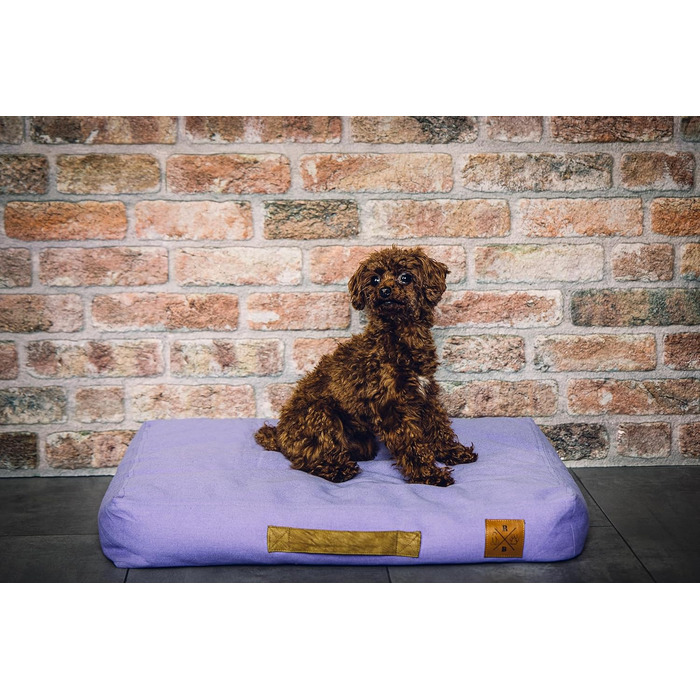 Ортопедичне ліжко для собак Roth & Bock з м'якої піни, сертифіковане Oeko-Tex Standard 100, покриття з водонепроникного канвасу, жовте, розмір S