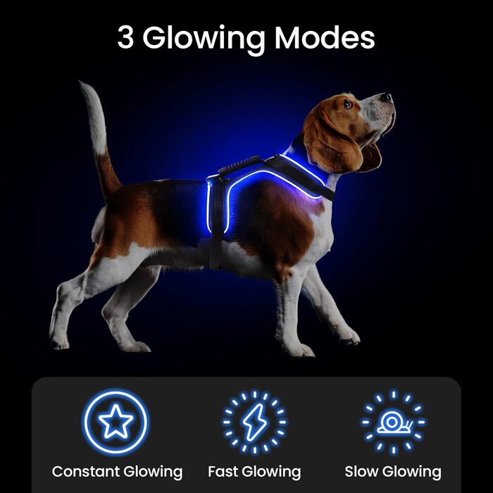 LED іграшка для собак MABRILL з імітацією звуку, світлодіодна, перезаряджувана, з ручкою, чорна (S, синій)