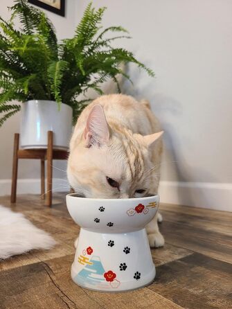 Піднята миска для котів Fuji Limited Edition, велика, захист від зворотного потоку, підходить для посудомийної машини та мікрохвильовки, №1 у Японії