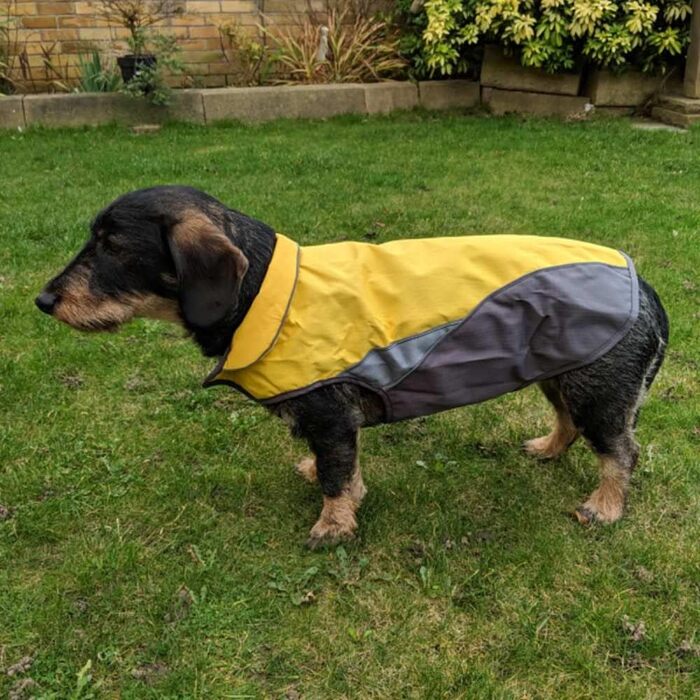 Жовтий теплий зимовий одяг для собак XL, водонепроникна куртка з флісовою підкладкою