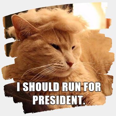 Блондин для домашніх тварин з бантиком: Іконічна та кумедна шапочка Tupemütze, косплей-одяг, костюм, аксесуари на Хелловін (червона краватка, L)