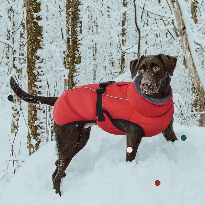 Теплий зимовий одяг для собак IECOii, великий розмір (обхват грудей 53-62 см), червоний, з регулюванням, світловідбиваючий, з флісовим коміром