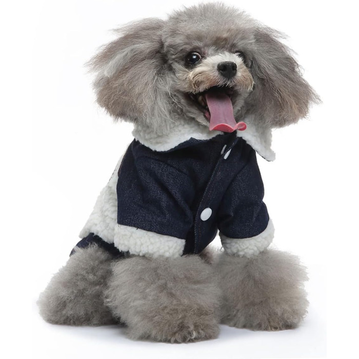 Теплий зимовий костюм для цуценят Abaoadam: зручний халат для прогулянок та ігор на вулиці