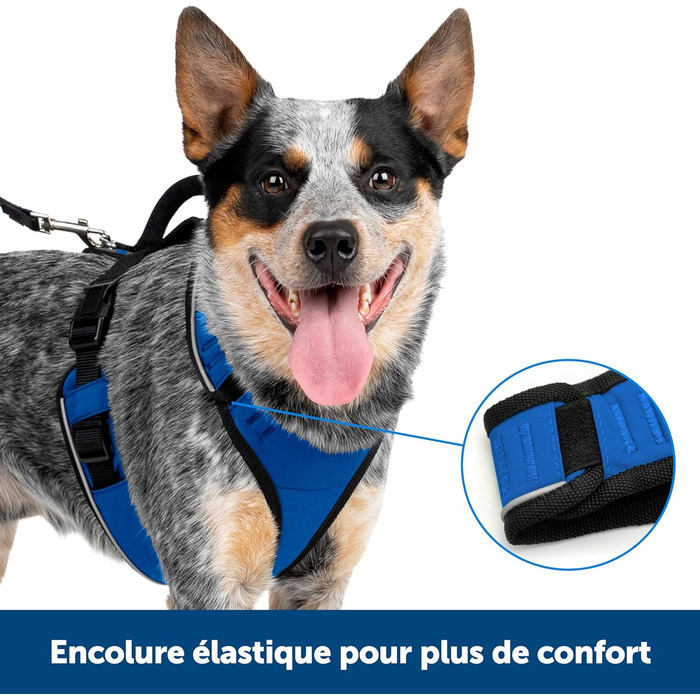 Шлейка для собак PetSafe EasySport, повністю з м'якою підкладкою, для собак 9-16,5 кг, розмір S, (M, блакитна)