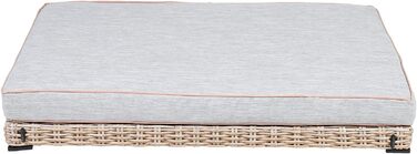 greemotion Лежанка для собак з поліротангу з подушкою, 95 x 15 x 65 см, розміри подушки 95 x 15 x 8 см