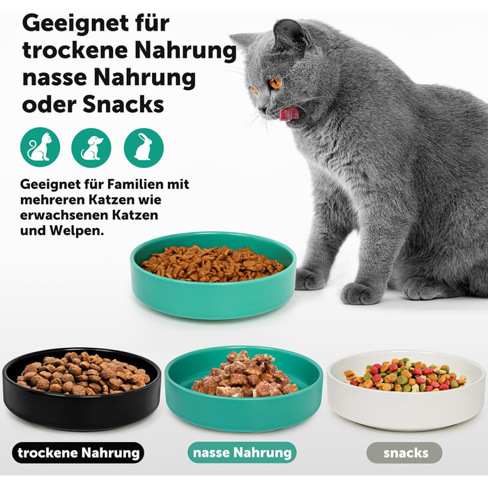 Котлові миски з кераміки для котів та кошенят: набір мисок для корму, годівниці для тварин