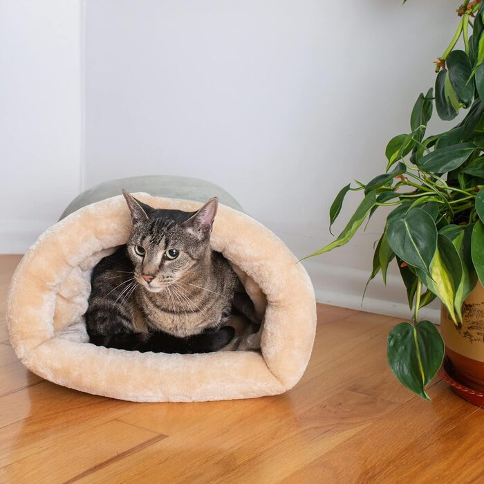 Ліжко для котів Sage Green 22x14 дюймів, м'яке спальне місце
