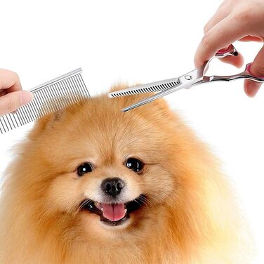 Набір для стрижки тварин QUNINE: професійний набір для грумінгу, включає ножиці та тример, нержавіюча сталь, 17.8 см