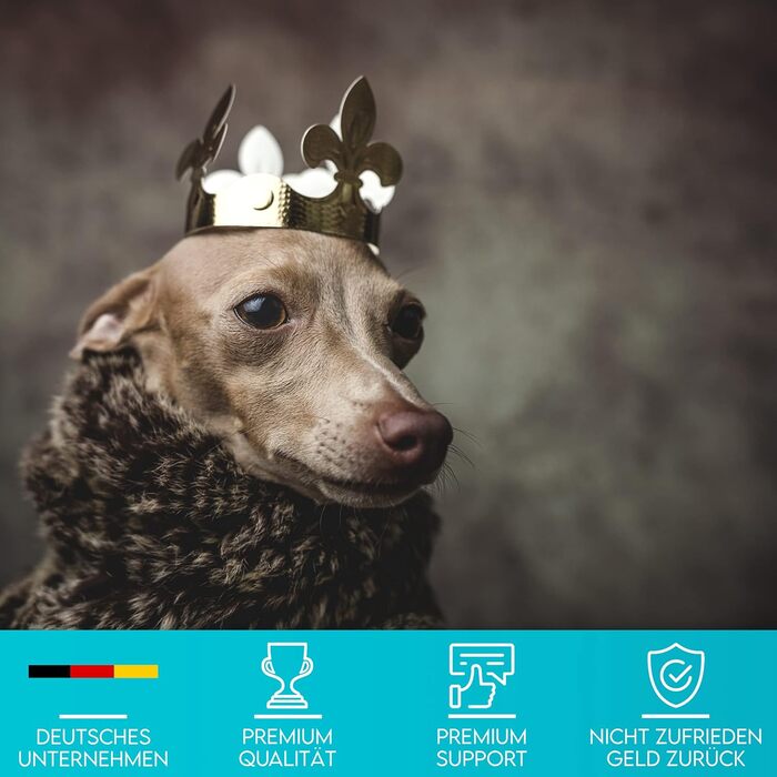 Преміум сумка для ласощів для собак HUND IST KÖNIG - універсальна, містка, з дозатором для відходів та електронною книгою для тренувань. Чорний колір, розмір 16 x 18 x 6 см