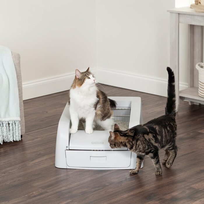 PetSafe ScoopFree автоматичний туалет для котів із грудкуватим наповнювачем, самочистка, контроль запаху, для однієї чи кількох кішок