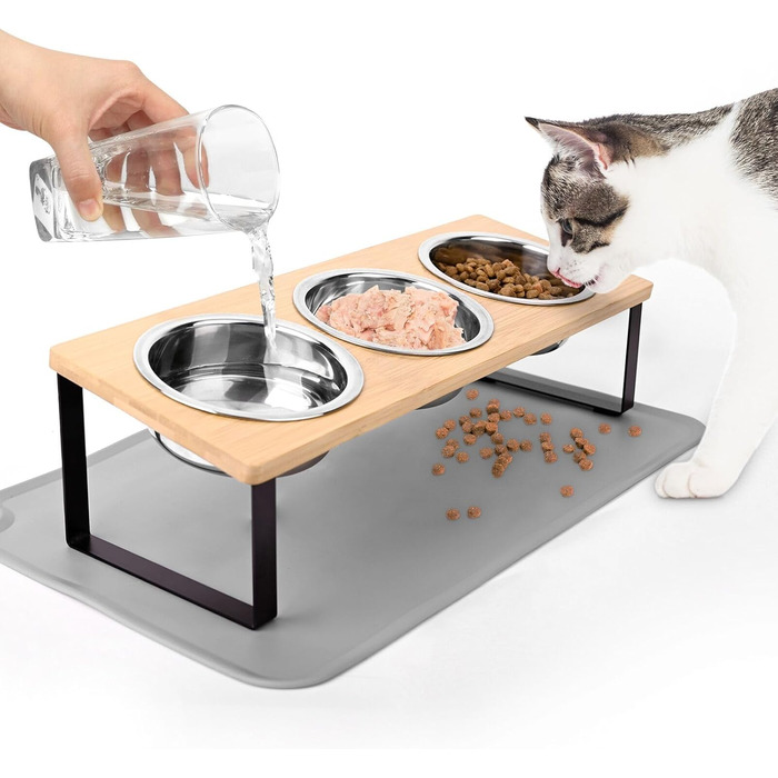 Підвищений годівниця для котів, миска для котів з нержавіючої сталі з підкладкою з силікону, 15° ергономічна станція для годування, миска для собак, годівниця та поїльник для котів та маленьких собак