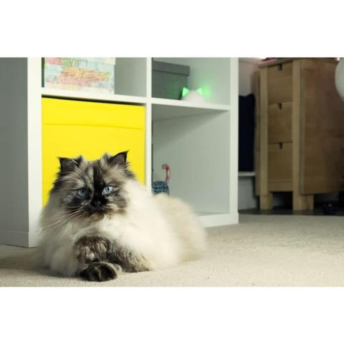 Sure Petcare Hub: сумісний з SureFlap та SureFeed Connect, Felaqua Connect, з додатком, білий