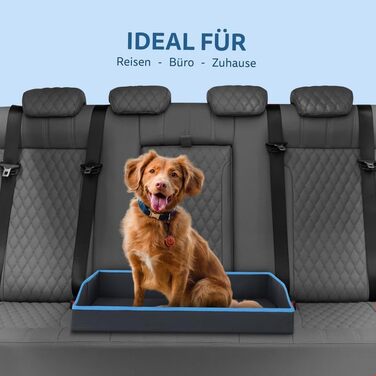 Складане ліжко для собак та котів Bestlivings - (80x60 см) - блакитне туристичне ліжко для тварин зі стабільним каркасом