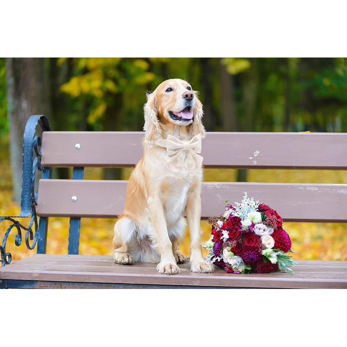 Нашийник для собак Lionet Paws з метеликом - зручний шовковий нашийник для маленьких собак, розмір 25-40 см. Білий комплект (1 шт.)