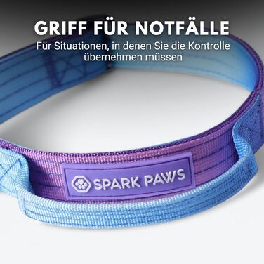 Тактичний нашийник для собак Spark Paws – міцний, преміум-якість, товстий та довговічний для великих та середніх собак. 90s Retro, XS: 9-18 кг [2.5 см]