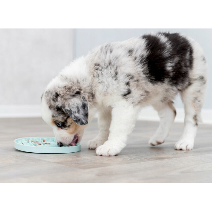 Лизальний килимок-піднос Trixie для собак Licking Plate, 15 см, для сповільнення їжі