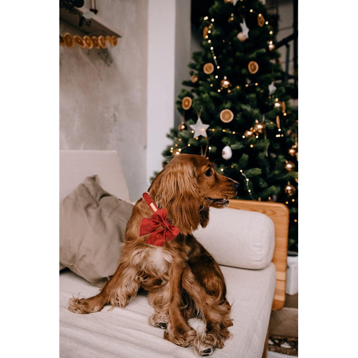 Шовковий ошийник для собак Mandarine, регульований, довговічний, з бантиком, для великих собак, розмір M