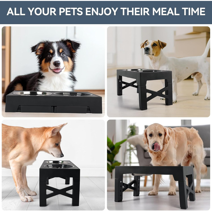 Підвищений годівниця для собак PAWISE, 5 рівнів регулювання, для собак маленьких, середніх та великих порід, з двома великими мисками з нержавіючої сталі, антиковзаюча, BPA free пластик