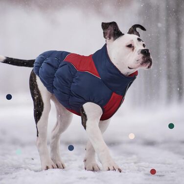 Зимові куртки та манто для собак IECOii: тепла, вітро- та водонепроникна модель, зелений, M (військово-зелений), блакитний