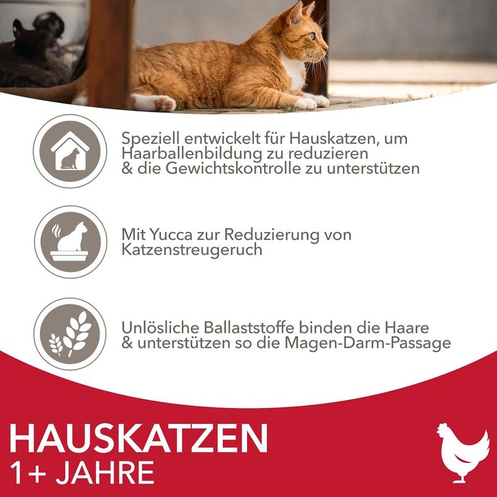 Сухий корм для котів IAMS Indoor з куркою для кішок, що живуть у приміщенні, 10 кг