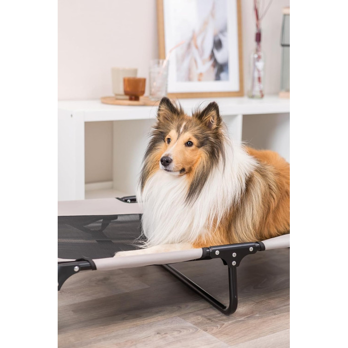Лежанка для собак TRIXIE Strong Edition – стабільна та комфортна, 79x19x50 см, бежево-чорна