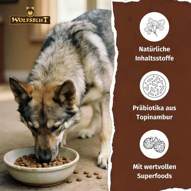 Сухий корм для дорослих собак WOLFSBLUT Wild Duck & Turkey з качкою та індиком, беззерновий, 12.5 кг