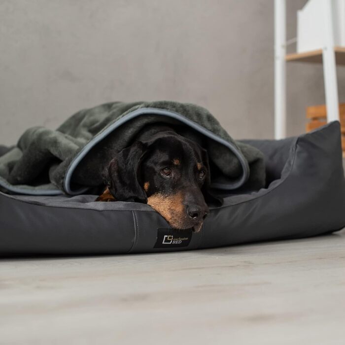Ортопедичне ліжко для собак Eden, велике, середнє, маленьке - подушка для собак, килимок для собак з еко-шкіри + тканина Alcantara - зняття болю, стійке до зношування, міцне (XXL, сірий) XXL сірий