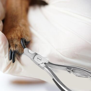 Ножиці для собак, ергономічні, неслизькі, прецизійні, для інтенсивного використання, ножиці для грумінгу собак, великих та середніх порід, котів, для подорожей, для домашнього використання