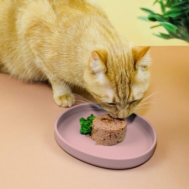 Миска для котів ne&no Nala Collection - широка силіконова миска для корму | Миска для котячого корму | Силіконова миска для котів (рожевий)