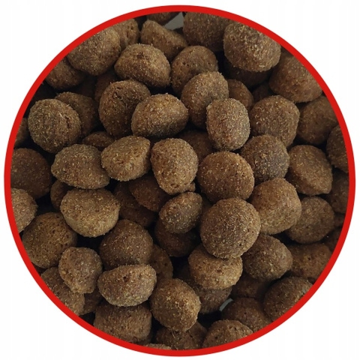Сухий корм для собак BIOFEED Tasty Dogs Life Karma з яловичиною, 12 кг