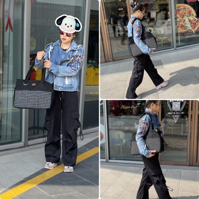 Сумка-переноска для собак та котів, велика, L 41x18x30 см, бежево-чорна