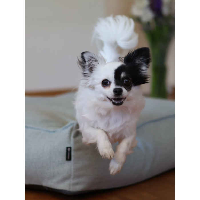 Ортопедичне ліжко для собак Flamingo Baldar – прямокутне, бежеве, 80 см. Комфортне місце для сну з подушкою Baldar, 80x60x18 см