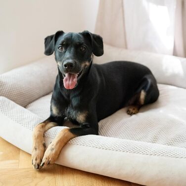 М'яке ліжко для собак 4L Textil Teo, бежеве, 100x80 см. Знімний та пральний чохол, корзина для собак середнього розміру, зручне собаче ліжко.