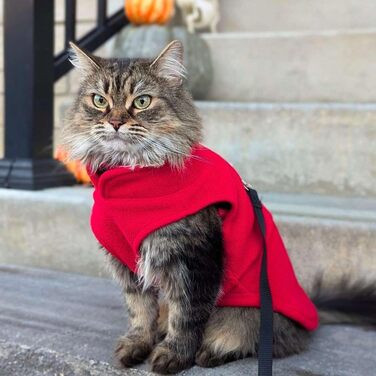 Жилет для собак Jacko & Co з кільцем для повідка – теплий, м'який, дихаючий для цуценят, маленьких та середніх собак, кошенят та котів, чихуахуа, осінь/зима, червоний, розмір M (2,7-4,5 кг)