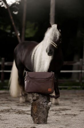 Набір для догляду за конем (12 предметів) – повний комплект для чищення коней: щітка-кардаш, щітка для гриви, копитачка, стрігач, гребінець для гриви та сумка – високоякісний набір для стайні та турнірів