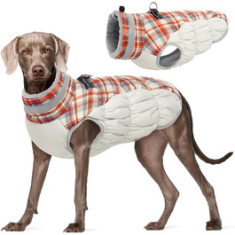 колір: рудий килим