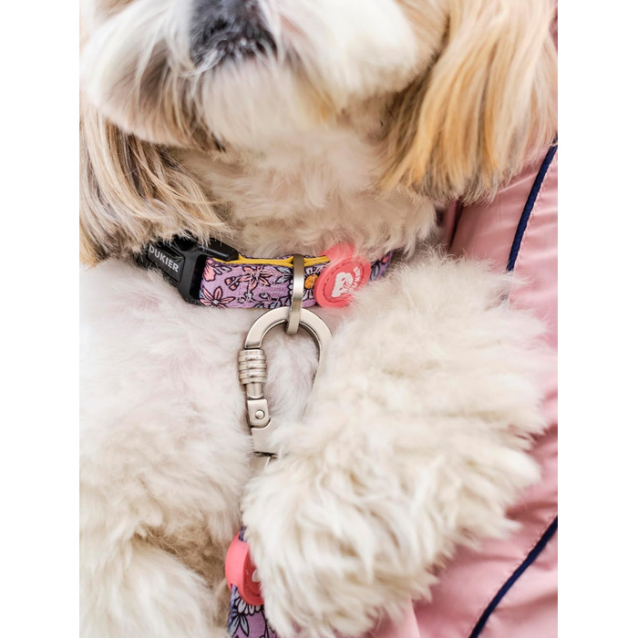 Нашийник для собак DUKIER, регульований, з неопрену, міцний, розмір M (FLOWER POWER)