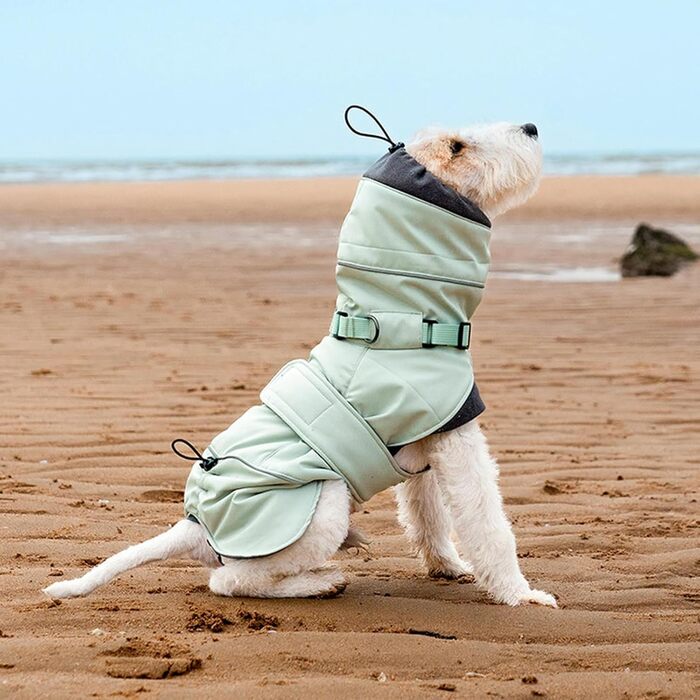 Зимовий одяг для маленьких собак: теплий пуловер з флісу, жилет для активного відпочинку, куртка з регульованою шлейкою, безрукавна куртка для цуценят Green L