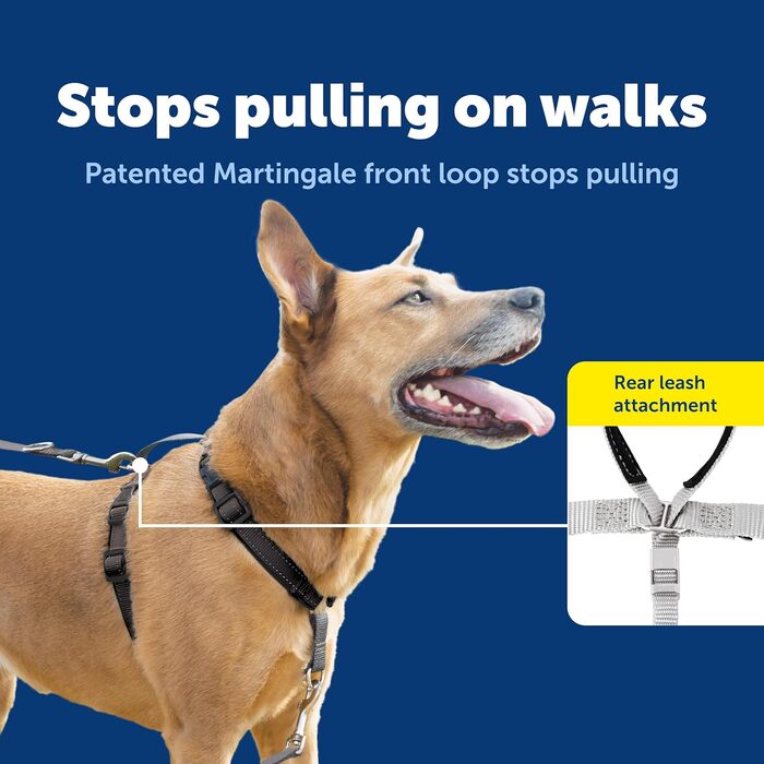 Шлейка PetSafe 3-в-1 з двоточковою контрольною лінією, індивідуальна посадка, зносостійка, обладнання для дресирування, зменшує тягу, дихаюча, чорна, середній розмір (упаковка 1)