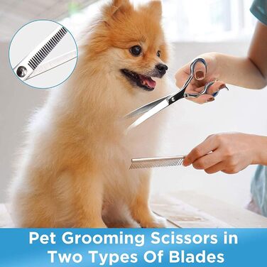 Набір професійних ножиць для собак з безпечними округлими кінчиками, нержавіюча сталь. Ножиці для грумінгу та догляду за шерстю собак та котів. Синій колір.